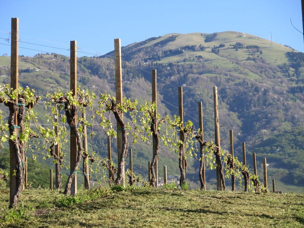 La Casetta Valdobbiadene Buitenkant foto